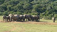 Addo Elephant Park, Meeting