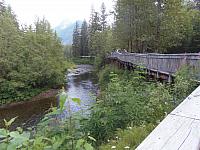 Bären-Plattform am Salmon River