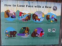 Wie man todsicher mit Bären Ärger kriegt