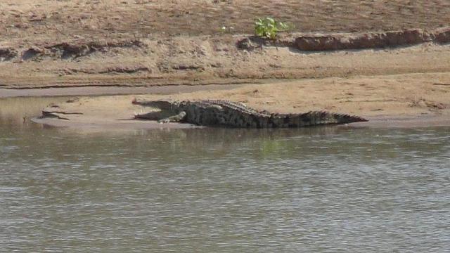 Beim Wildlife Camp, Mfuwe