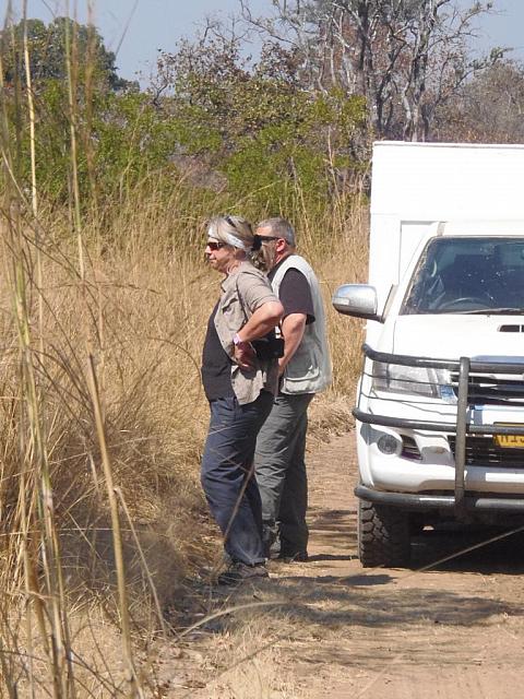 Kafue, am Hippo-Pool