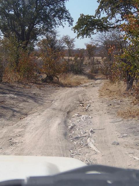 Unterwegs im Hwange National Park