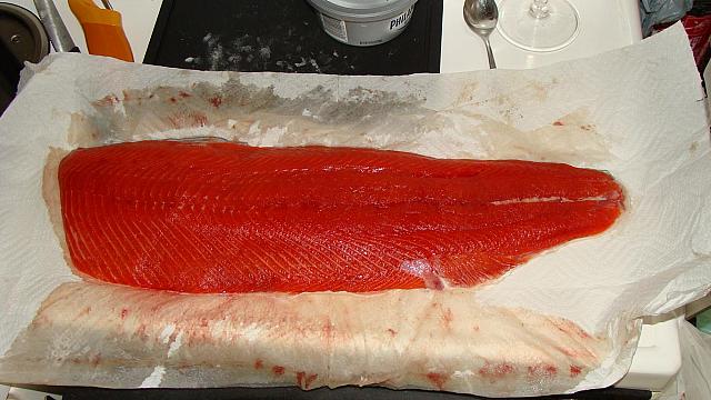 Fangfrischer Lachs