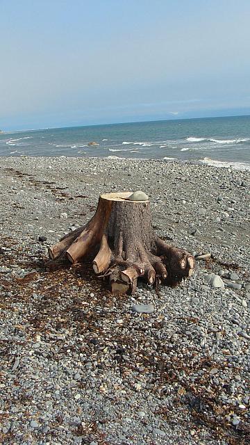 Am Cook Inlet vor Homer