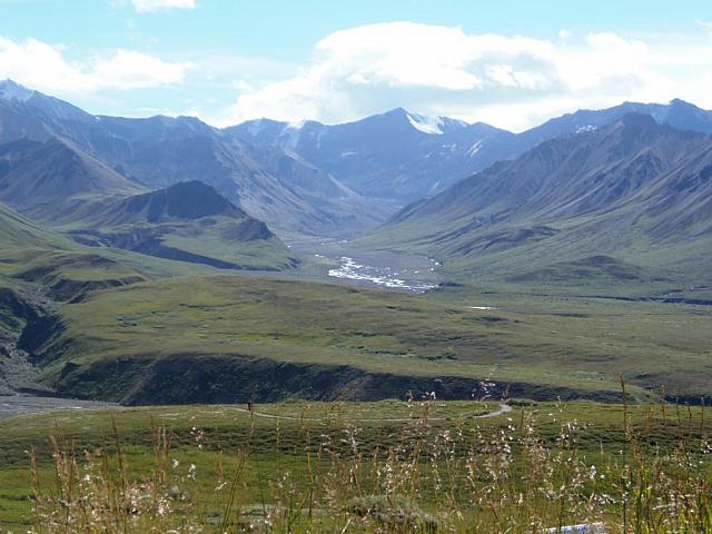 Landschaft Denali National Park