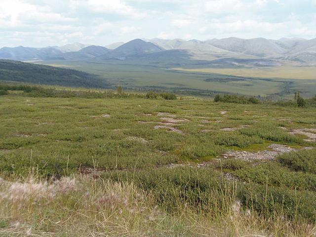 Dempster, Ogilvie Mountains