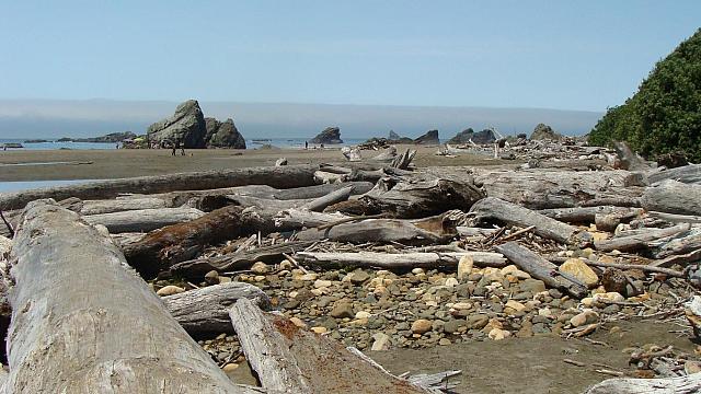 Harris Beach State Park