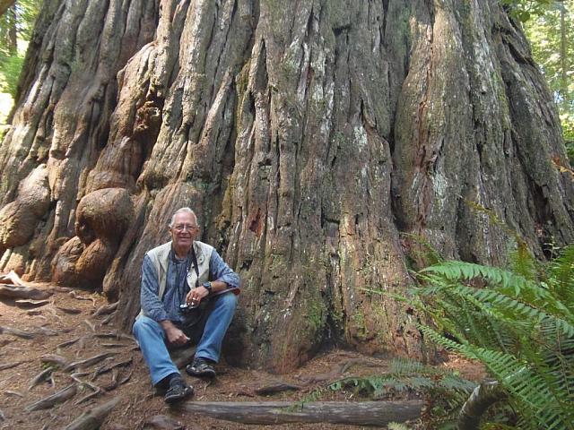 Im Redwood National Park