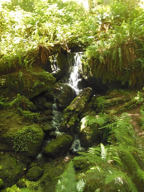 Redwood National Park: Kleiner Wasserfall