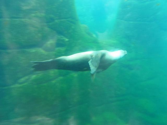 Oregon Coast Aquarium