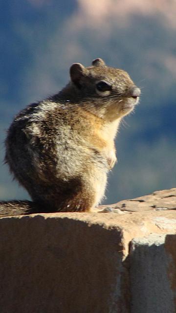 Bryce Canyon, Rainbow Point