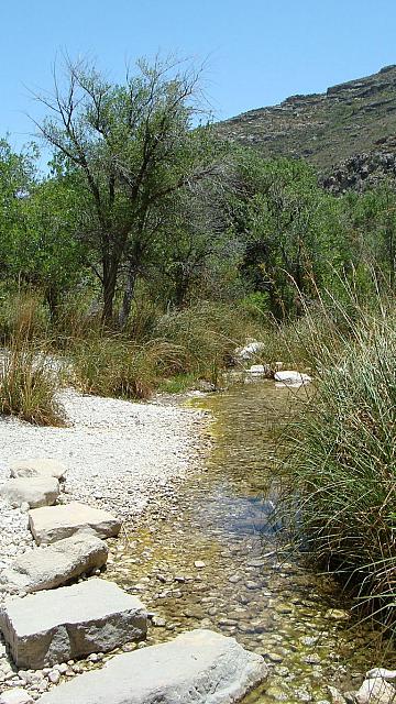 Guadalupe Mountains Nationslpark: McCittrick Canyon