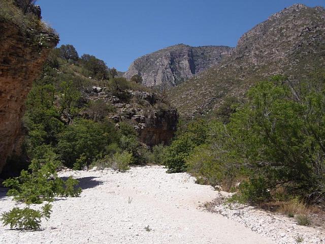 Guadalupe Mountains Nationslpark: McCittrick Canyon