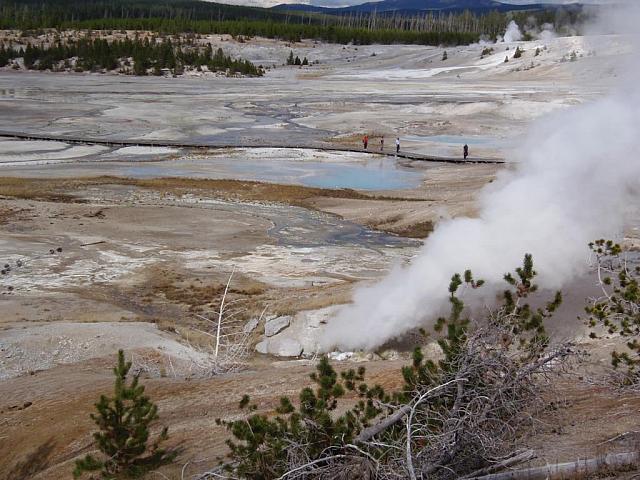 Norris Geyser Basin, Porcelain