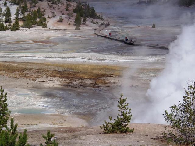 Norris Geyser Basin