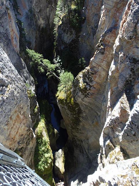 Maligne Canyon