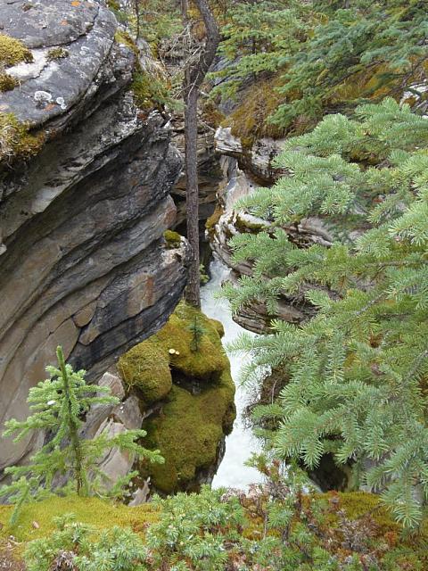 Athabasca Canyon