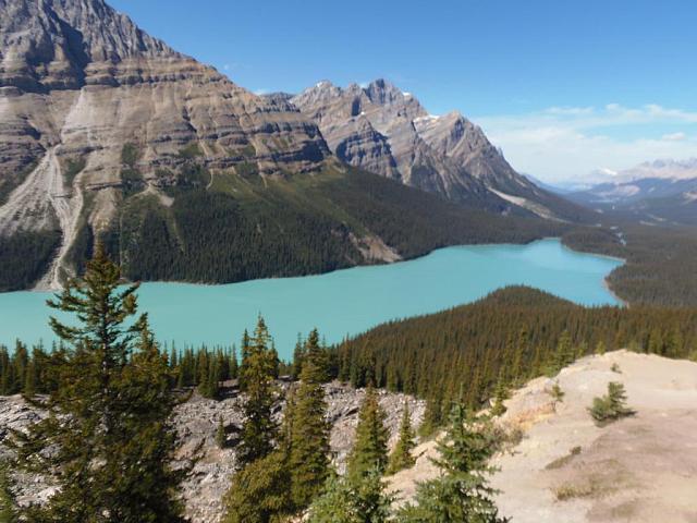 Bow Lake am Icefield Parkway