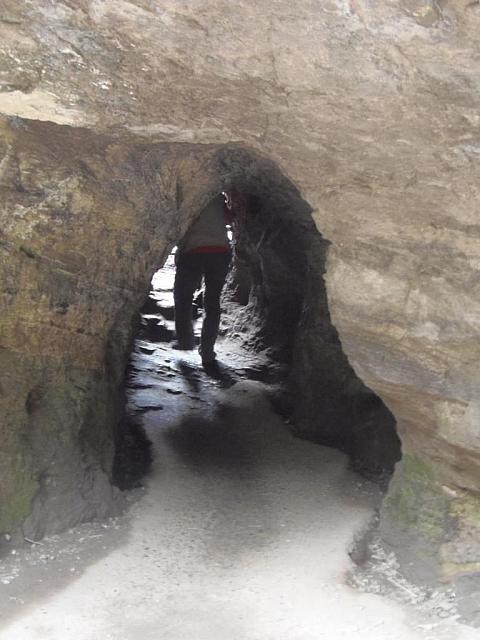 Im Johnston Canyon