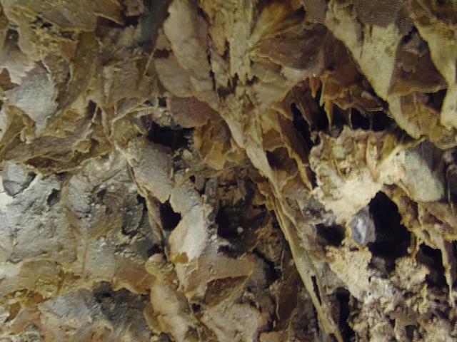 Wind Cave National Park, Boxwork