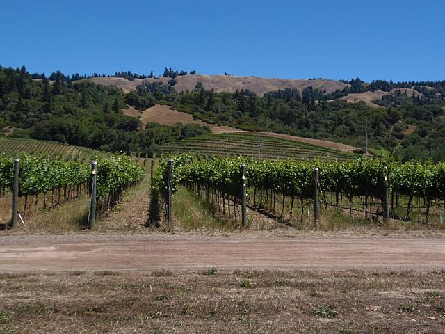 Anderson Valley, Mendocino County