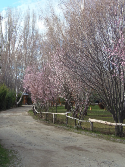 Frühling auf dem Camping Laura Vicuña, Junin de Los Andes