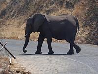 Zwischen den Grenzstationen Botswana und Namibia