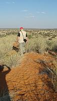 Hiking on the red dunes