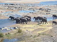 Krüger NP, am Olifants River