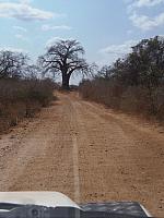 Übelste Wellblechpiste zum Mana Pools NP