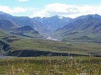 Landschaft Denali National Park