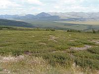 Dempster, Ogilvie Mountains