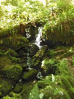 Redwood National Park: Kleiner Wasserfall