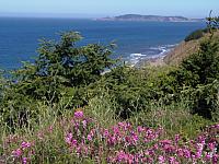 Im Harris Beach State Park