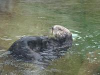 Oregon Coast Aquarium