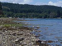 Potlatch State Park