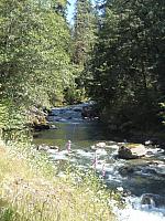 Olympic National Park, Salmon Cascades am Sol Duc River