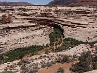 Natural Bridges National Monument