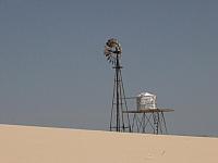 Monahans Sandhills State Park