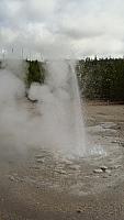 Norris Geyser Basin