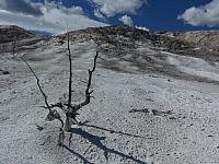 Mammoth Hoth Springs