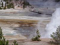 Norris Geyser Basin