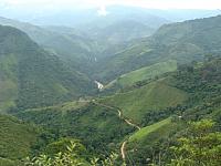 Immergrüner Dschungel in Ecuador