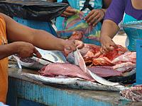 Fischmarkt in Puerto Ayola