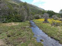 Parque Nacional Tierra del Fuego