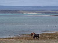 Laguna Verde