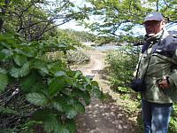 Im Südbuchenwald an der Laguna Parrillar