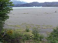 Lago Grey mit Gletscherabbrüchen