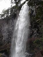 Parque Nacional Lanín